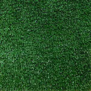 Grama Decorativa Sligth Grass