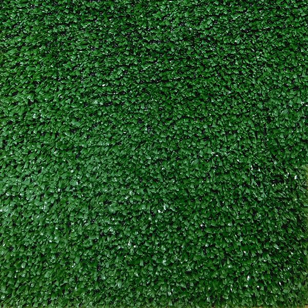 Grama Decorativa Sligth Grass