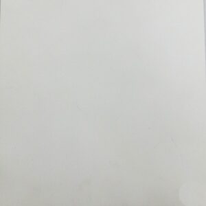 Venecia Nieve - Precio M2: $85.323